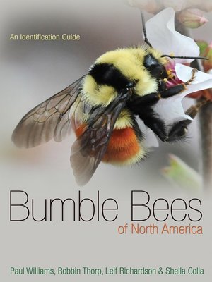 cover image of Bumble Bees of North America